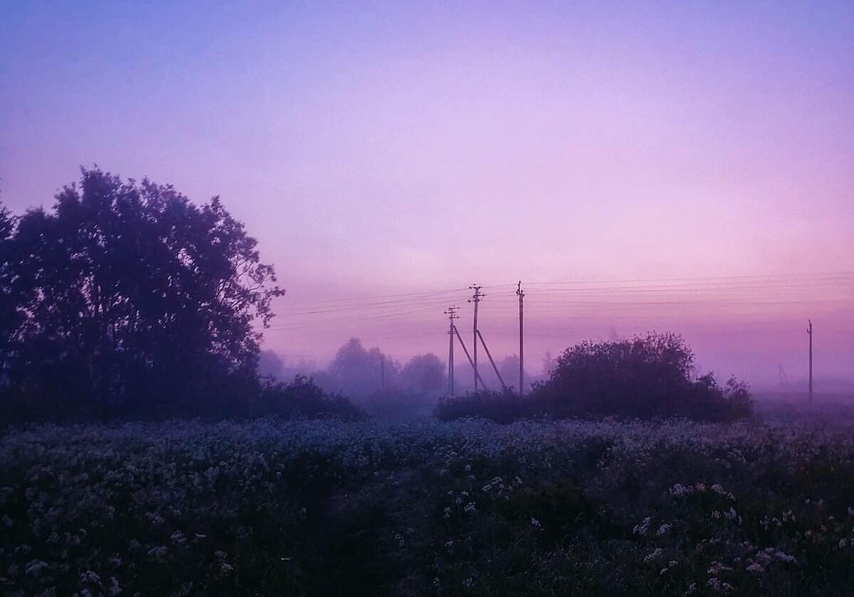 开云登录线上：解锁无缝身份的全域数字化之路